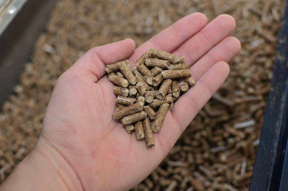 Chaudières à granulés près de Lempdes-sur-Allagnon